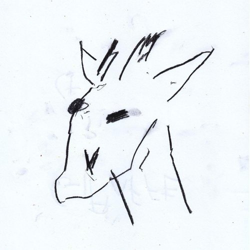 Giraffe 기린