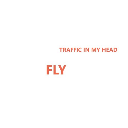 Fly