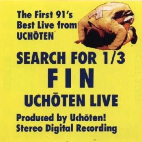 Search for 1/3 Fin