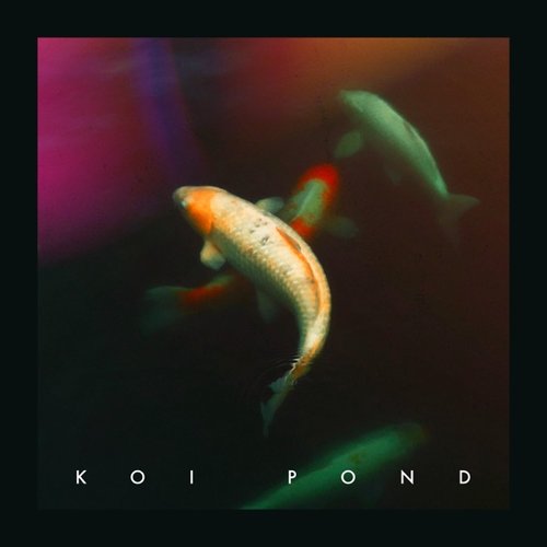 Koi Pond