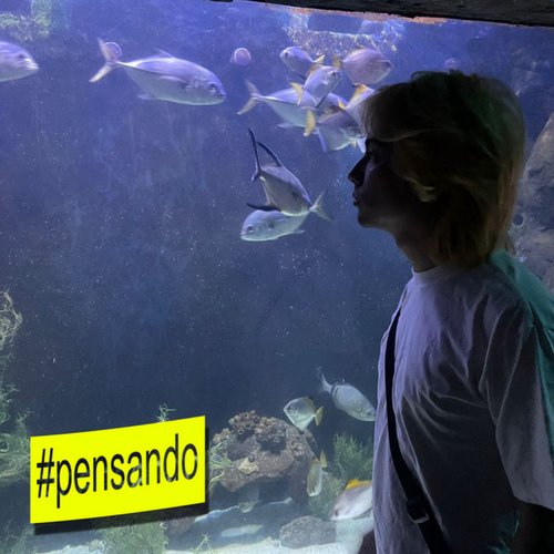 #pensando