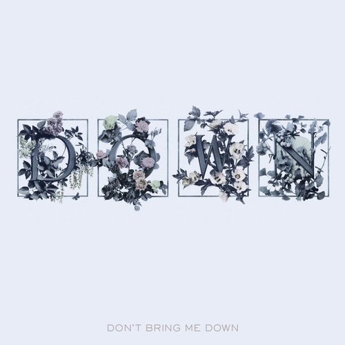 Don't Bring Me Down