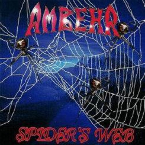 Spider's Web