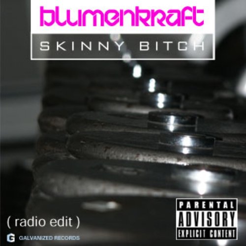 Skinny Bitch (maxi-single)