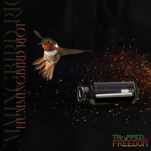 Hummingbird Riot