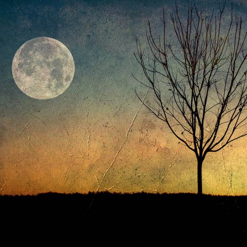 Moon Landing - Single