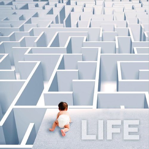Life