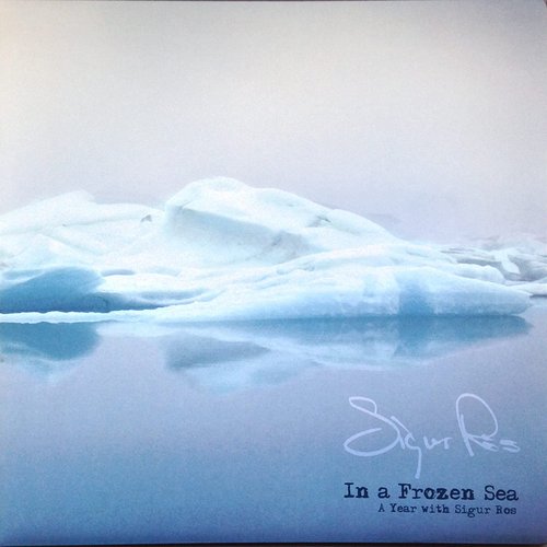 In a Frozen Sea: A Year with Sigur Rós