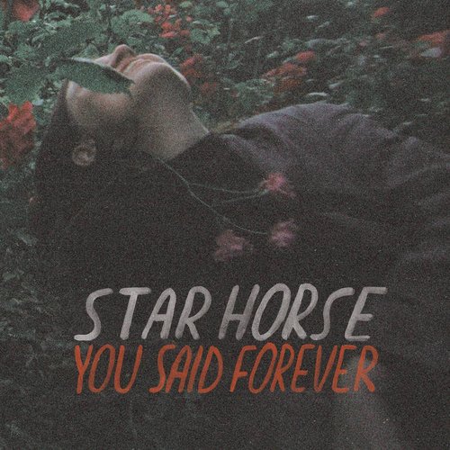 You Said Forever (Deluxe Version)
