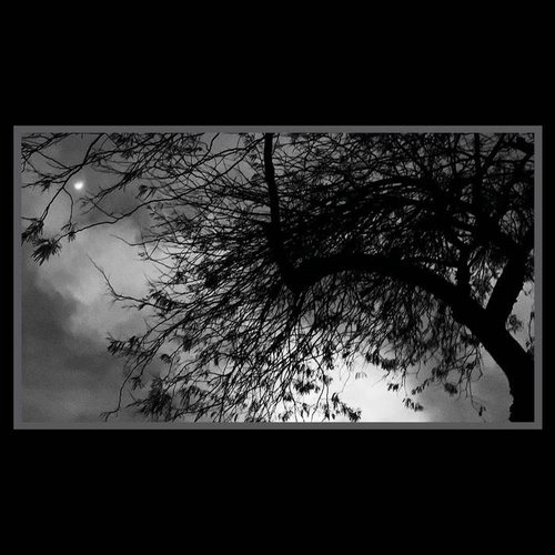 Under the Same Moon - EP