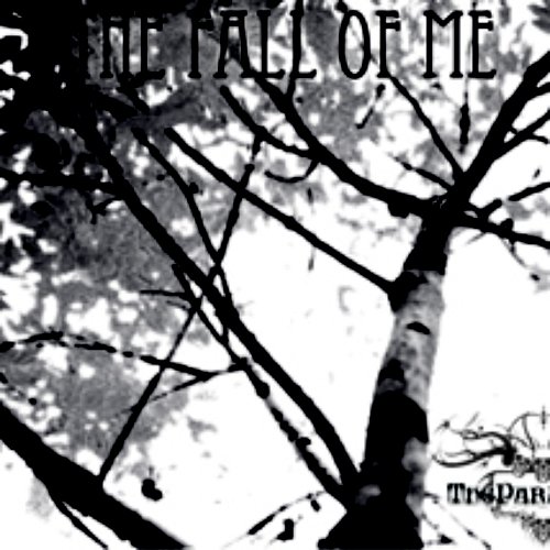 The Fall of Me(2010)
