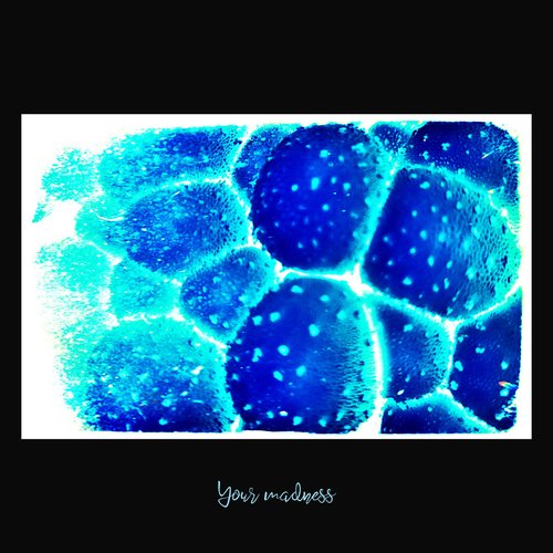 Your Madness - Single