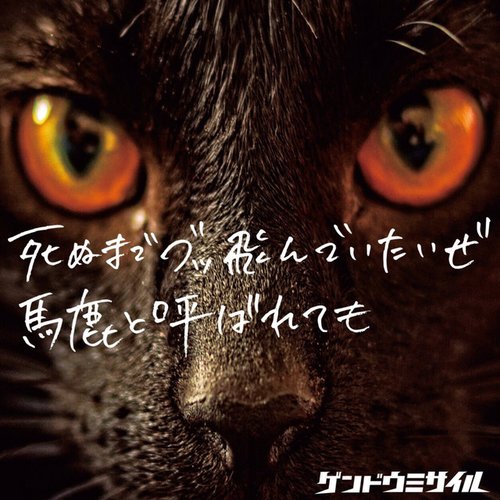 死ぬまでブッ飛んでいたいぜ馬鹿と呼ばれても