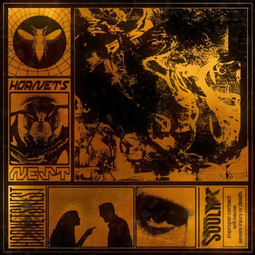 Hornets Nest