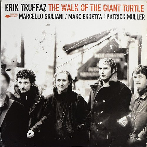 Walk Of The Giant Turtle