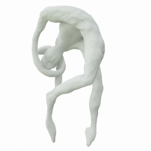 Fetal
