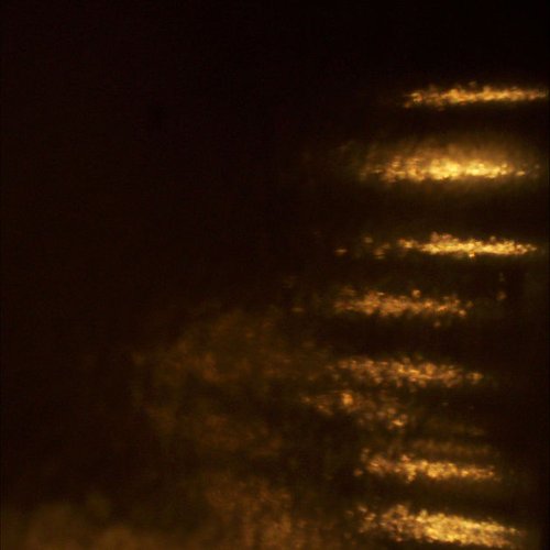 Compendium: Limited Works 2006-09