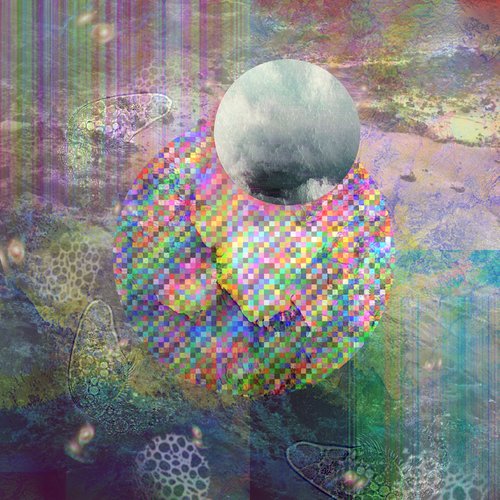 Migrations