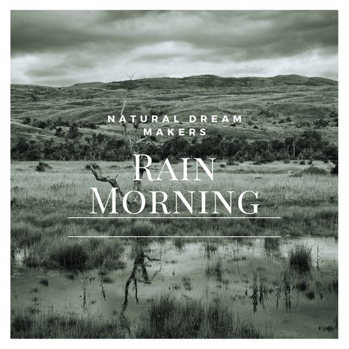 Rain Morning