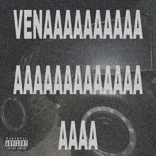VenAA