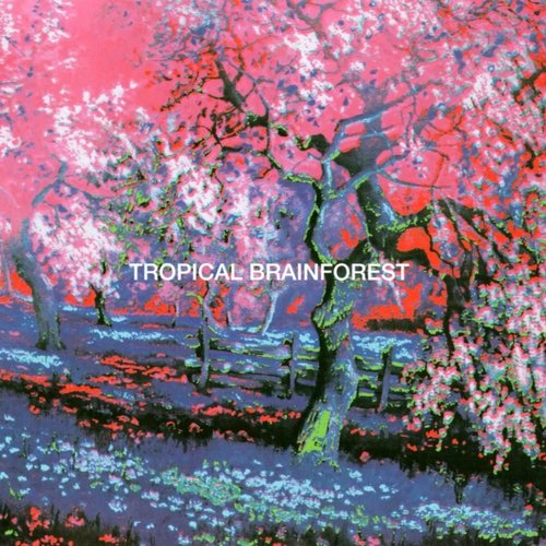 Tropical Brainforest