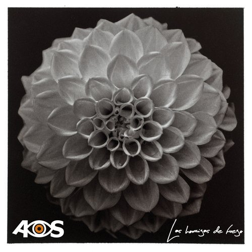 Las Hormigas de Fuego