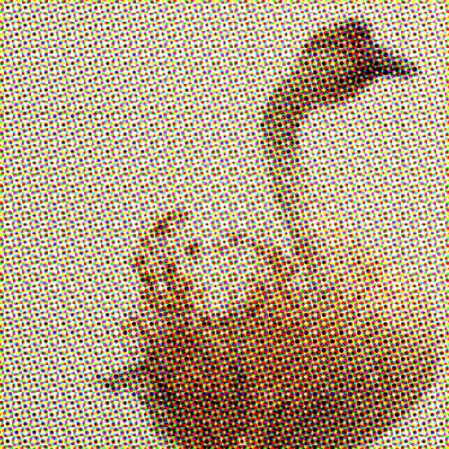 CAssette and the elephant boy