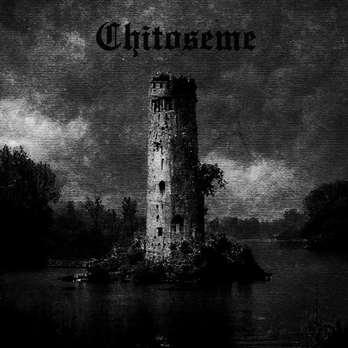 Enter the forest (searching for the tower in consciousness)