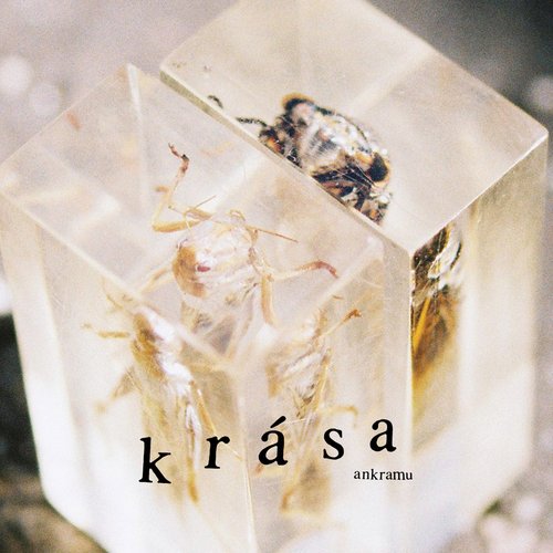 Krása