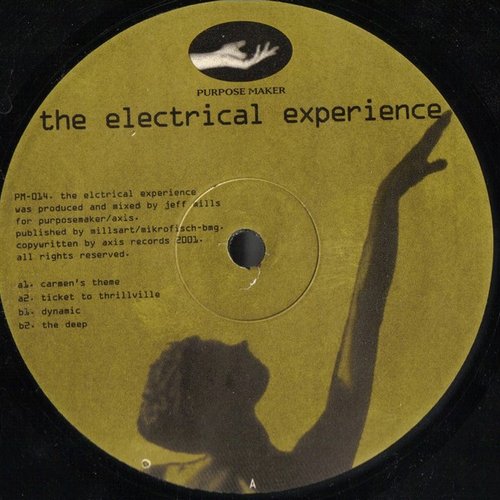 The Electrical Experience