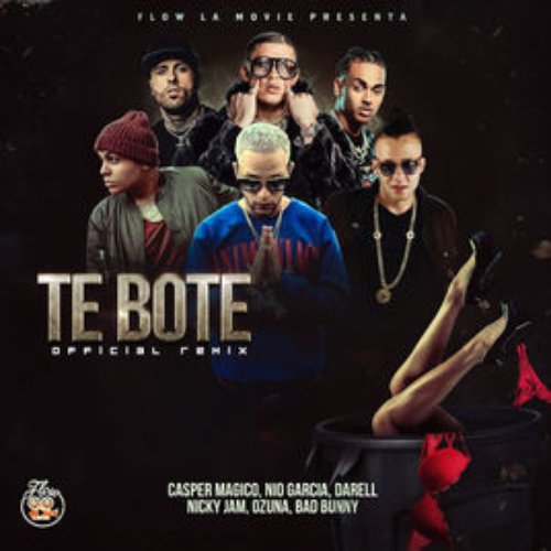 Te Boté (Remix)