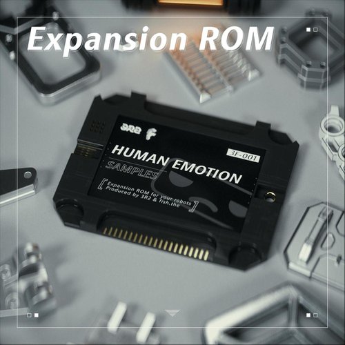 Expansion Rom