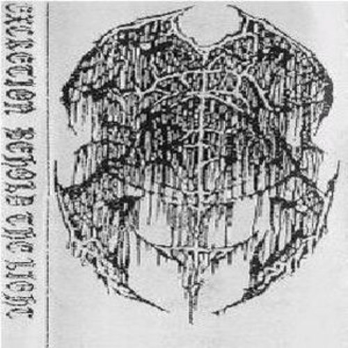 svale Intensiv Nemlig Behold The Light — Excretion | Last.fm