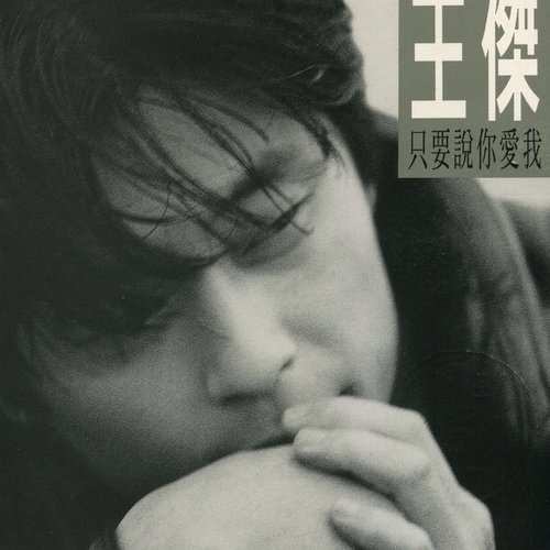 只要說你愛我
