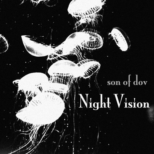 Night Vision