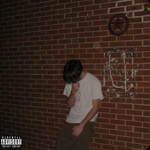 Lettuce - Single