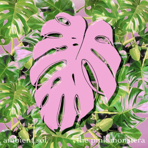 The Pink Monstera