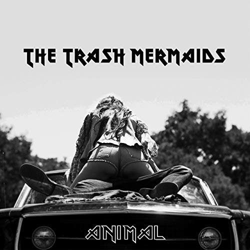 Animal