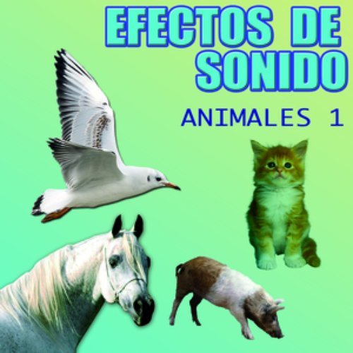 Efectos De Sonido Animales Vol.1