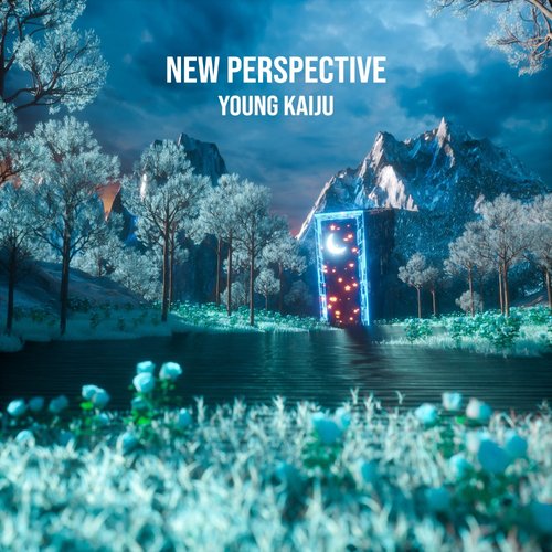 New Perspective