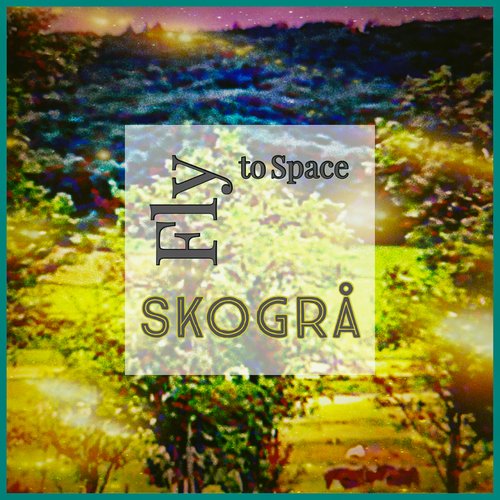 Fly to Space - Single