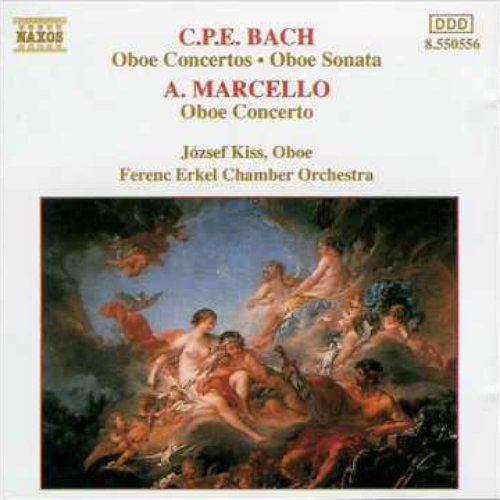 Concerto in D Minor: II. Adagio