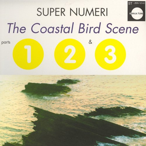 The Coastal Bird Scene