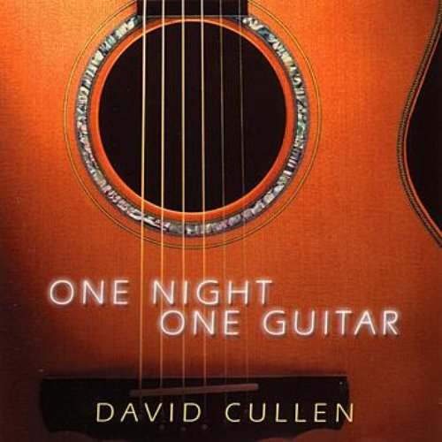 One Night, One Guitar