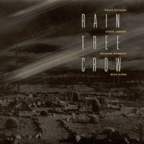 Rain Tree Crow (remastered)