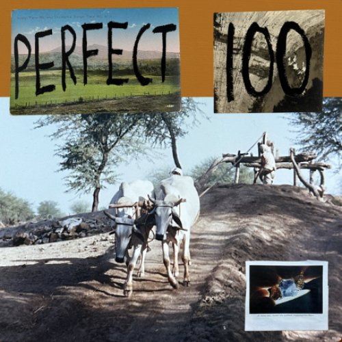 Perfect 100