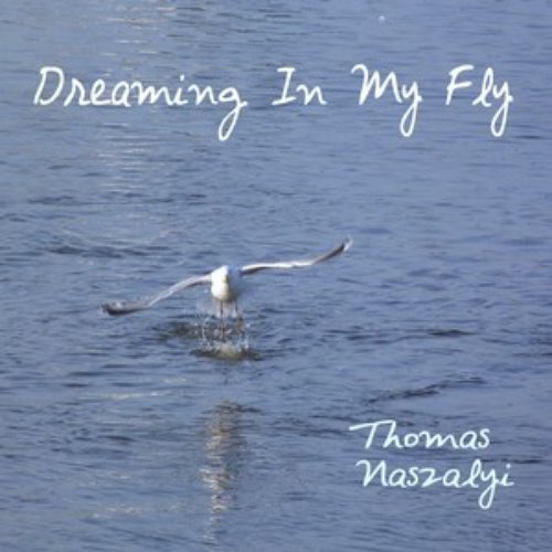 Dreaming in My Fly