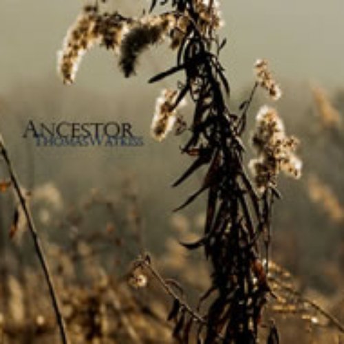 Ancestor Ep