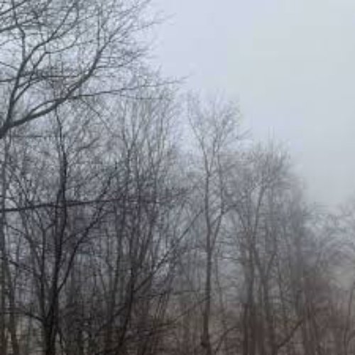 безмолвие