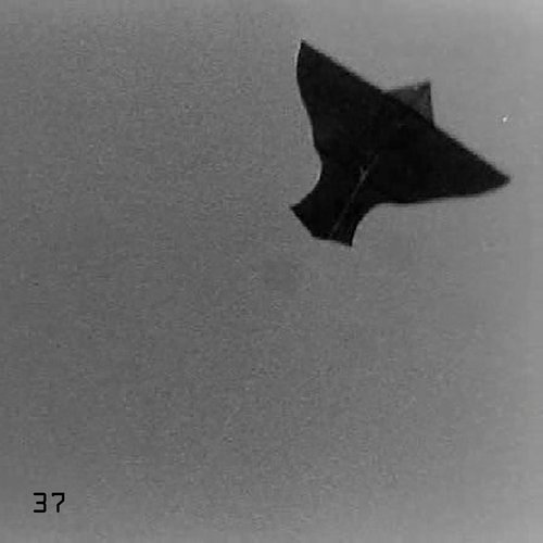 37